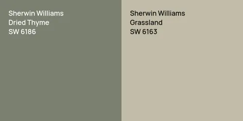 SW 6186 Dried Thyme vs SW 6163 Grassland