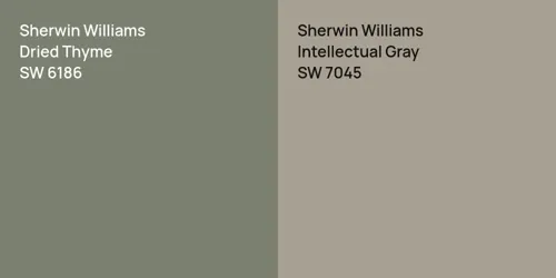 SW 6186 Dried Thyme vs SW 7045 Intellectual Gray