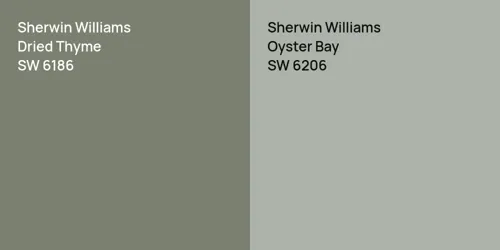 SW 6186 Dried Thyme vs SW 6206 Oyster Bay