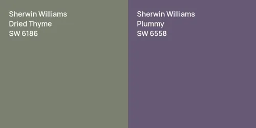 SW 6186 Dried Thyme vs SW 6558 Plummy