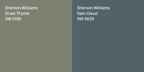 SW 6186 Dried Thyme vs SW 9639 Rain Cloud