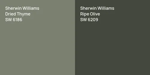 SW 6186 Dried Thyme vs SW 6209 Ripe Olive