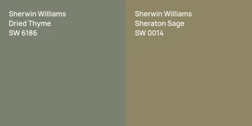 SW 6186 Dried Thyme vs SW 0014 Sheraton Sage