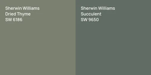 SW 6186 Dried Thyme vs SW 9650 Succulent