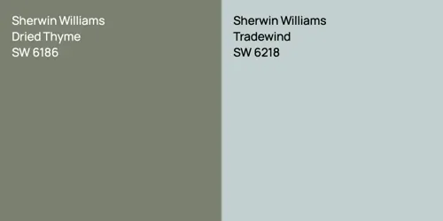 SW 6186 Dried Thyme vs SW 6218 Tradewind