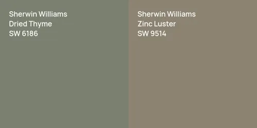 SW 6186 Dried Thyme vs SW 9514 Zinc Luster