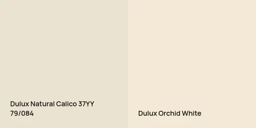 37YY 79/084 Natural Calico vs null Orchid White