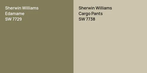 SW 7729 Edamame vs SW 7738 Cargo Pants