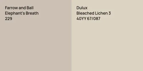 229 Elephant's Breath vs 40YY 67/087 Bleached Lichen 3