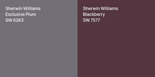 SW 6263 Exclusive Plum vs SW 7577 Blackberry