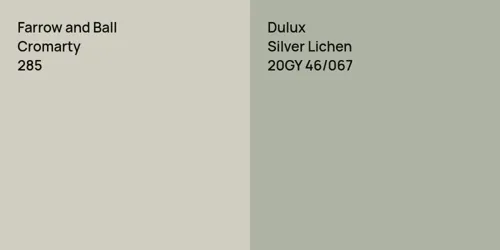 285 Cromarty vs 20GY 46/067 Silver Lichen