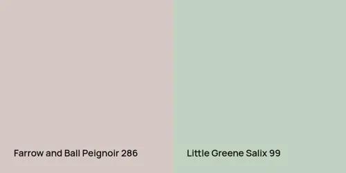 286 Peignoir vs 99 Salix