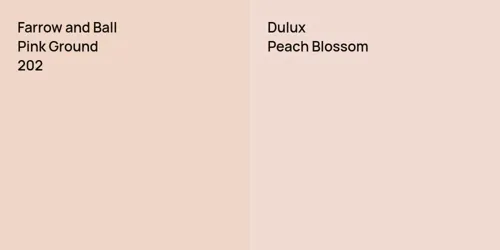 202 Pink Ground vs null Peach Blossom