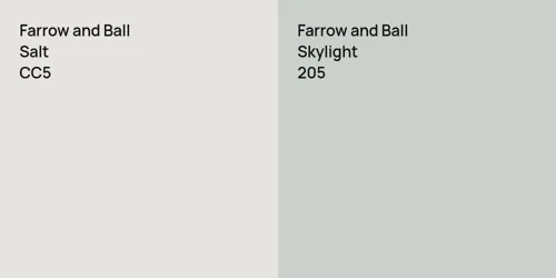 CC5 Salt vs 205 Skylight