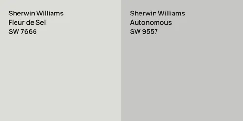 SW 7666 Fleur de Sel vs SW 9557 Autonomous