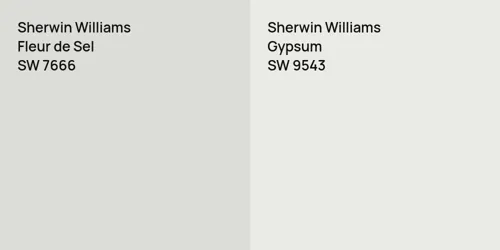 SW 7666 Fleur de Sel vs SW 9543 Gypsum