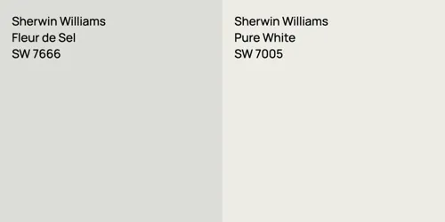 SW 7666 Fleur de Sel vs SW 7005 Pure White