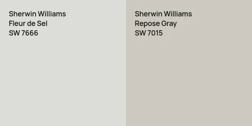 SW 7666 Fleur de Sel vs SW 7015 Repose Gray