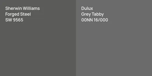 SW 9565 Forged Steel vs 00NN 16/000 Grey Tabby