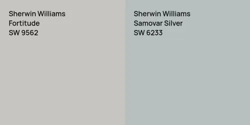 SW 9562 Fortitude vs SW 6233 Samovar Silver