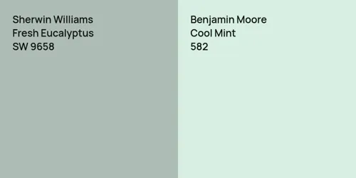 SW 9658 Fresh Eucalyptus vs 582 Cool Mint