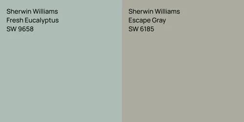 SW 9658 Fresh Eucalyptus vs SW 6185 Escape Gray