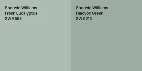 SW 9658 Fresh Eucalyptus vs SW 6213 Halcyon Green