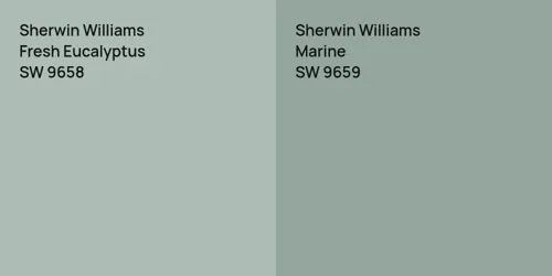 SW 9658 Fresh Eucalyptus vs SW 9659 Marine