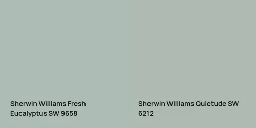 SW 9658 Fresh Eucalyptus vs SW 6212 Quietude