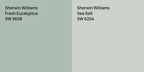 SW 9658 Fresh Eucalyptus vs SW 6204 Sea Salt