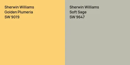 SW 9019 Golden Plumeria vs SW 9647 Soft Sage