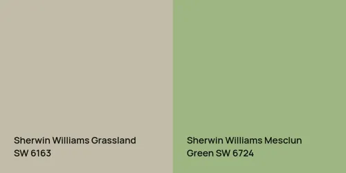 SW 6163 Grassland vs SW 6724 Mesclun Green