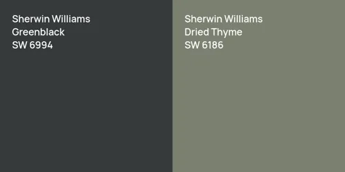 SW 6994 Greenblack vs SW 6186 Dried Thyme