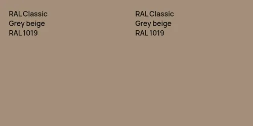 RAL 1019  Grey beige vs RAL 1019  Grey beige