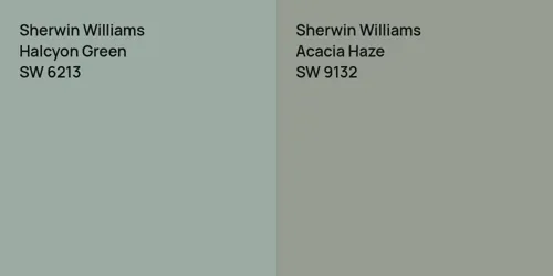 SW 6213 Halcyon Green vs SW 9132 Acacia Haze