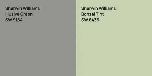 SW 9164 Illusive Green vs SW 6436 Bonsai Tint