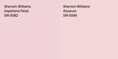 SW 6582 Impatiens Petal vs SW 6589 Alyssum