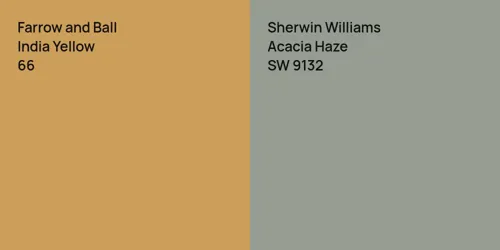 66 India Yellow vs SW 9132 Acacia Haze