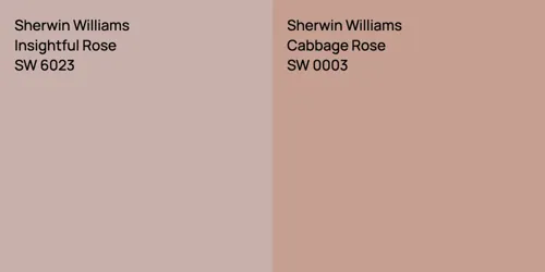 SW 6023 Insightful Rose vs SW 0003 Cabbage Rose