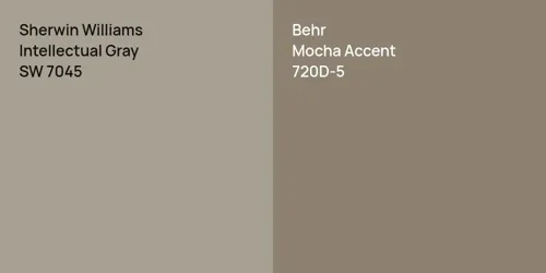 SW 7045 Intellectual Gray vs 720D-5 Mocha Accent