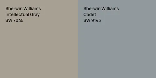 SW 7045 Intellectual Gray vs SW 9143 Cadet