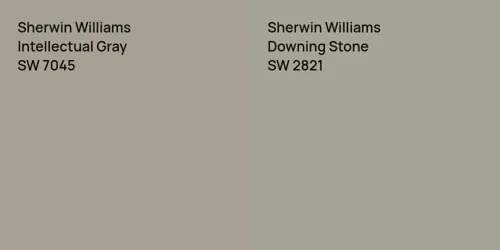 SW 7045 Intellectual Gray vs SW 2821 Downing Stone