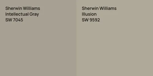 SW 7045 Intellectual Gray vs SW 9592 Illusion