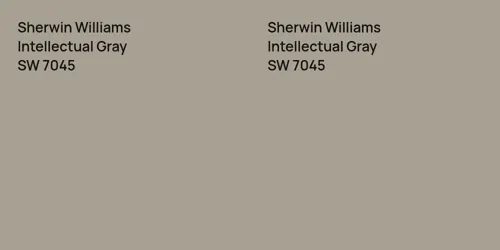 SW 7045 Intellectual Gray vs SW 7045 Intellectual Gray