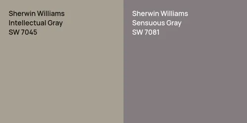 SW 7045 Intellectual Gray vs SW 7081 Sensuous Gray