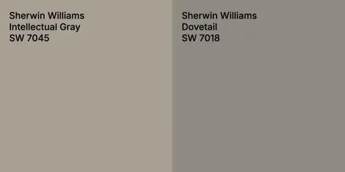 SW 7045 Intellectual Gray vs SW 7018 Dovetail