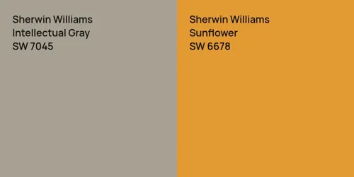 SW 7045 Intellectual Gray vs SW 6678 Sunflower