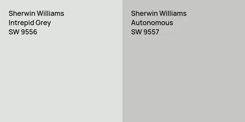 SW 9556 Intrepid Grey vs SW 9557 Autonomous