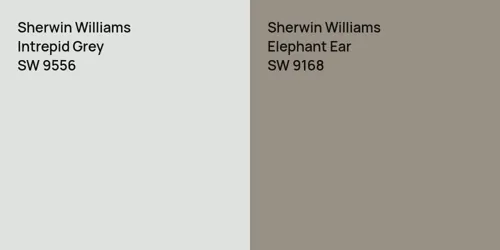 SW 9556 Intrepid Grey vs SW 9168 Elephant Ear