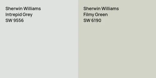 SW 9556 Intrepid Grey vs SW 6190 Filmy Green